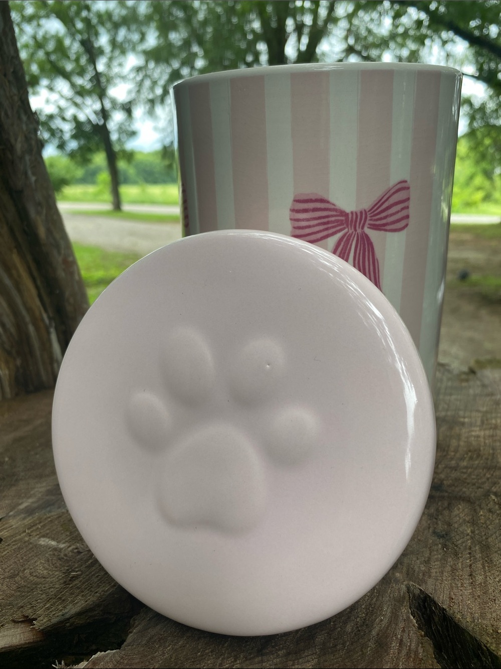 Pink Striped Ceramic Canister with Bow Accent - Home Accents - Picture 2 of 5